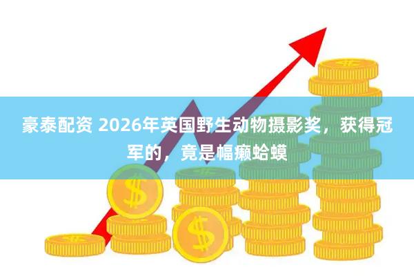 豪泰配资 2026年英国野生动物摄影奖，获得冠军的，竟是幅癞蛤蟆