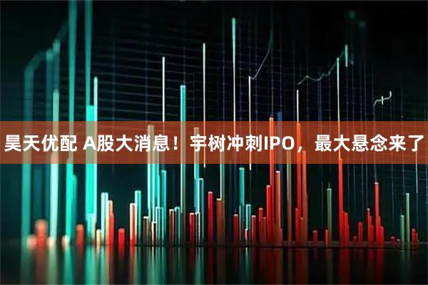 昊天优配 A股大消息！宇树冲刺IPO，最大悬念来了