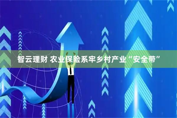 智云理财 农业保险系牢乡村产业“安全带”