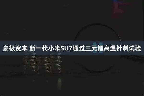 豪极资本 新一代小米SU7通过三元锂高温针刺试验