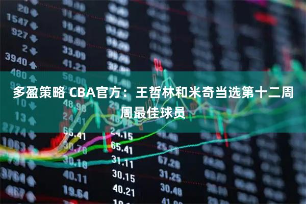 多盈策略 CBA官方：王哲林和米奇当选第十二周周最佳球员