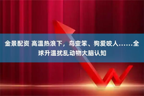金景配资 高温热浪下，鸟变笨、狗爱咬人……全球升温扰乱动物大脑认知
