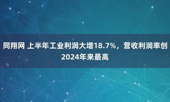 同翔网 上半年工业利润大增18.7%，营收利润率创2024年来最高